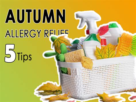 Autumn Allergy Relief 5 Effective Tips To Beat Seasonal Allergies