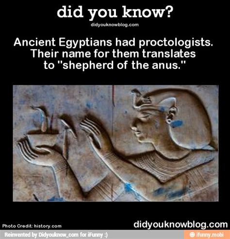 did you know ancient egyptians had proctologists their name for them