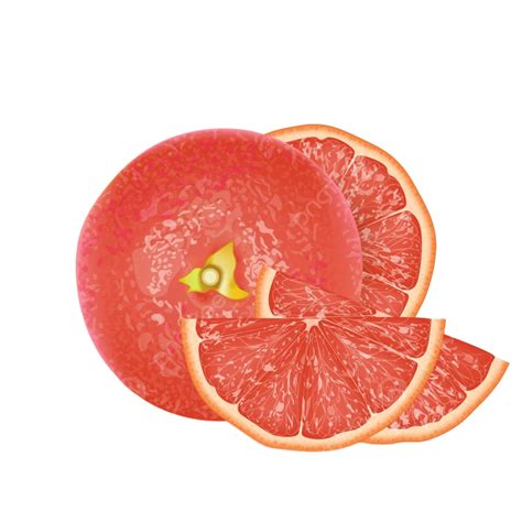 Pink Grapefruit Vector Hd Png Images Realistic Pink 3d Grapefruit