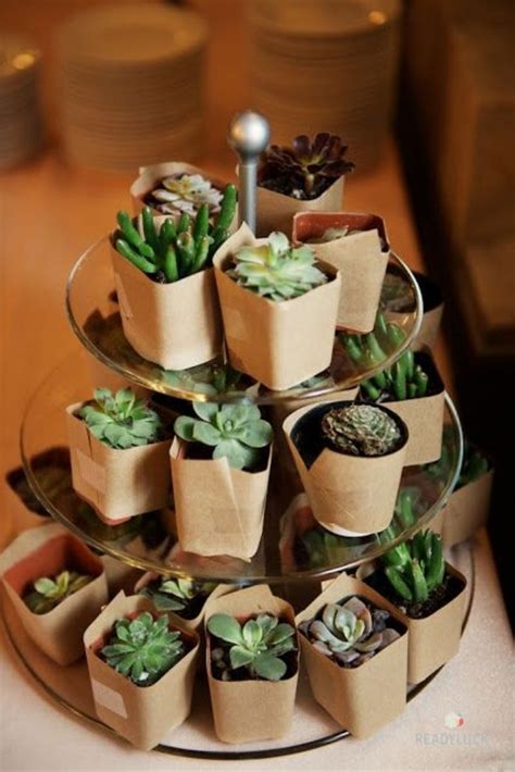 Using Succulents For Table Favors