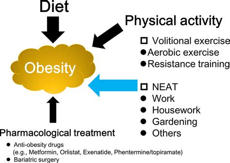 Physical Activity And Obesity In Adults IntechOpen