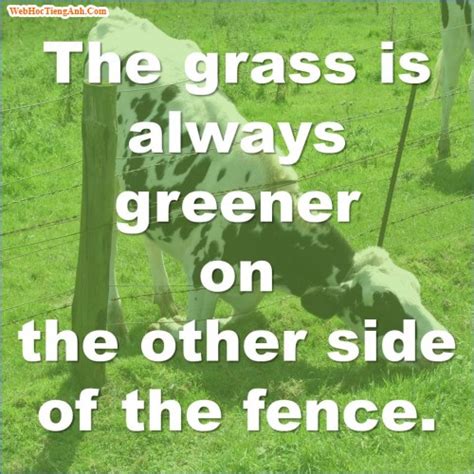 Answer needs a preamble to the final answer. The grass is always greener on the other side of the fence, 464, Vinhnguyen, , 16/09/2013 14:23:26