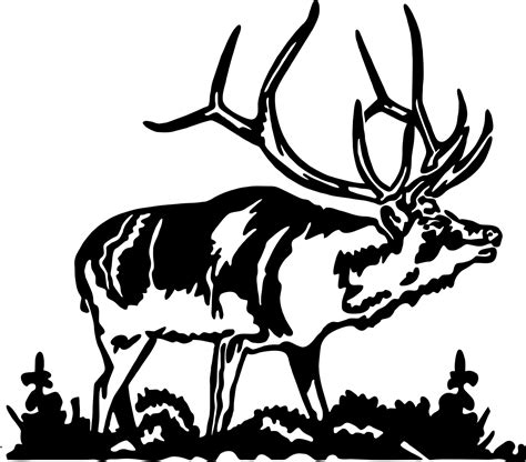 Bulletin Resources California Hawaii Elks Association Deer Hunting