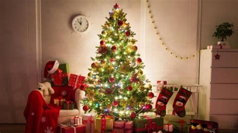 ¿cuál Es El Origen Del árbol De Navidad Crónica Firme Junto Al Pueblo