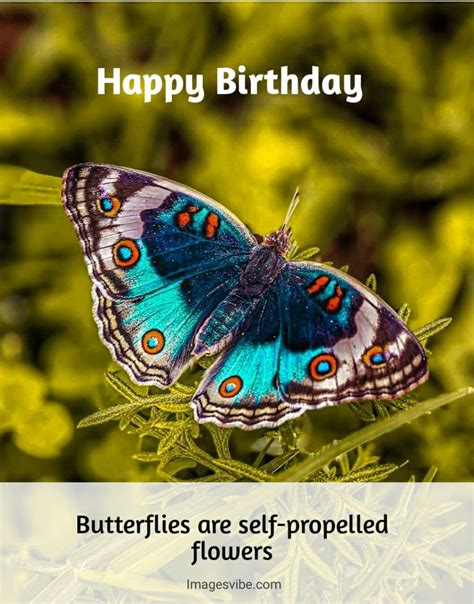 Best 30 Happy Birthday Butterfly Images And Wishes In 2024 Images Vibe