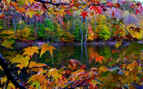 Free Download Com Pin Autumn Lake Beauty Free Desktop Wallpaper Hd Wallpapers X For