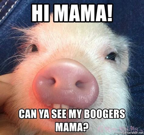 Hi Mama Can Ya See My Boogers Mama Birth Pig Yeth Crazy Funny