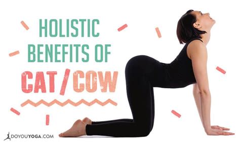 These two common beginner yoga poses are used in most yoga classes. The Holistic Benefits of Cat/Cow Pose | DOYOUYOGA