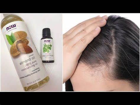 The most effective method to Use Almond Oil To Help Control Hair Loss