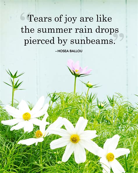16 Best Summer Quotes And Sayings Inspirational Quotes