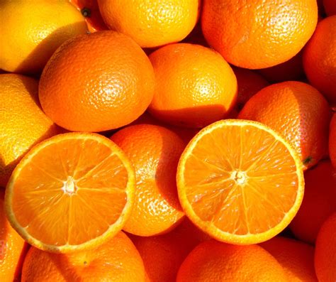 The History Of Oranges A Journey From Ancient Times To Modern Tables