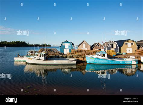 Fishing Boats And Lobster Traps New London Wharf Prince Edward Island