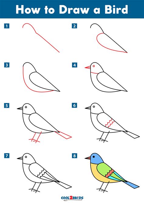 How To Draw An Easy Bird