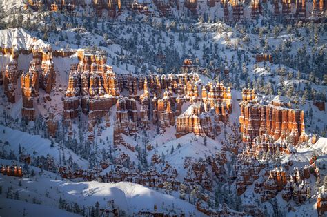 Fresh Snow At Bryce Canyon National Park After A Big Snowstorm Last