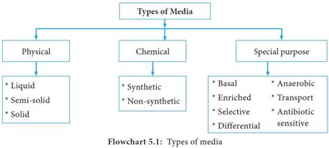 Bacteriological Media And Its Types