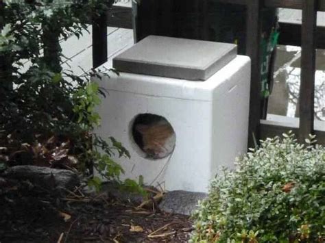 Outdoor Cat House From Cooler Cat House Outdoor Cat House Outside