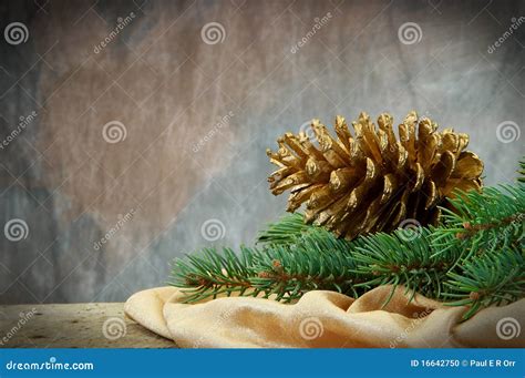 Pinecone Christmas Pine Branches Stock Photo Image Of Decor Color