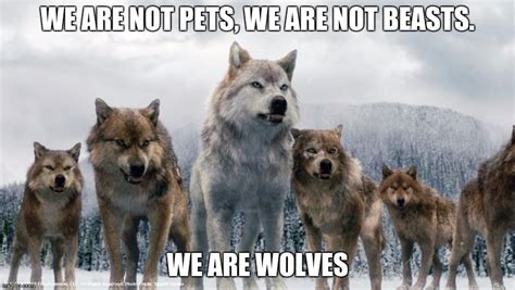 Wolves Unite Imgflip