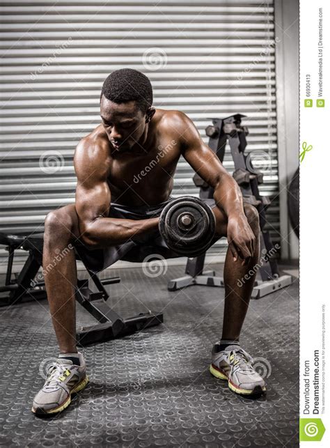 Shirtless Man Lifting Dumbbell On Bench Stock Image Image Of Club