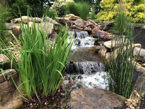 Beautiful Ponds Water Gardens Fountains And Waterfalls By Aquascapes