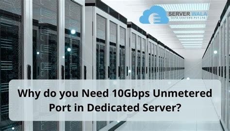 10gbps Unmetered Dedicated Server Teach Advocacy