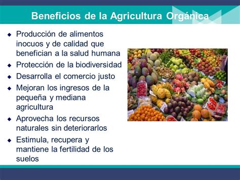 Aprendo Facil El Desarrollo De La Agricultura En Colombia