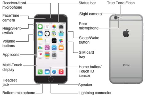 Where Is The Microphone On Iphone 12 Full Guide For Users