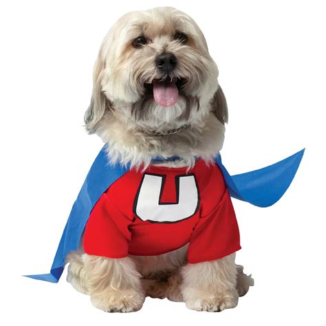 Underdog Dog Halloween Costume Baxterboo