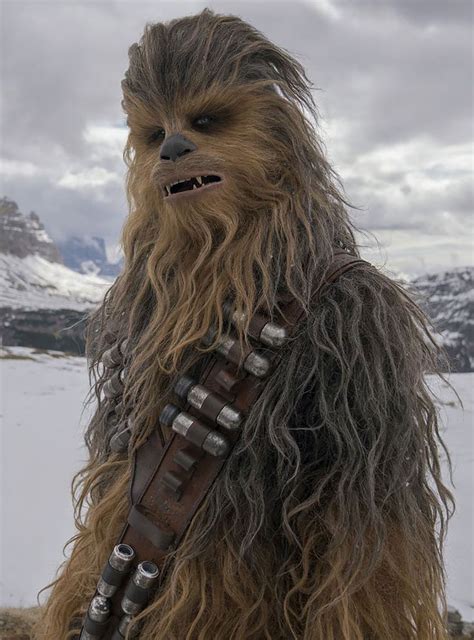 Chewbacca Finally Got The Medal He Deserves — But Why Star Wars Background Star Wars Images
