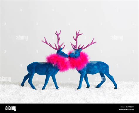 Two Reindeers Stock Photo Royalty Free Image 15738146 Alamy