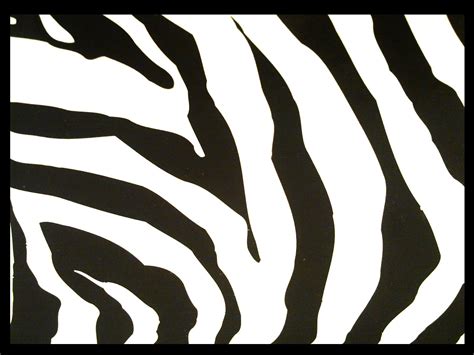 7 Best Images Of Printable Zebra Pattern Template Zebra Print Stencil