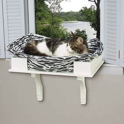 Cat window perch cat perch window bed window sill animal projects diy projects diy shows snowshoe cat room. T.Littleton: Cat Architecture?
