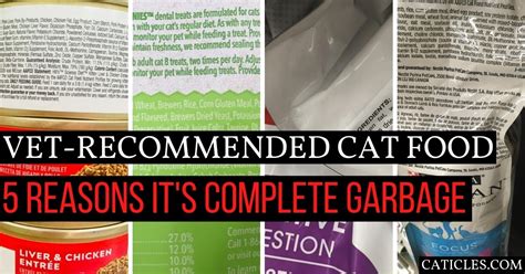 Their cat food formulas are. 5 Reasons Your Vet Recommended Cat Food is Complete Garbage