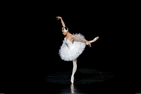 White Swan Ballerina Wallpapers And Images Wallpapers Pictures Photos