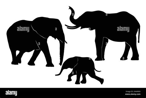 Familia De Elefantes Sobre Fondo Blanco Silueta De Elefante Imagen