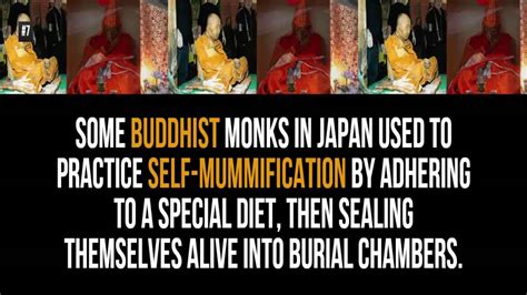 16 Meditative Facts About Buddhism 16 Interesting Facts About Buddhism In China Youtube