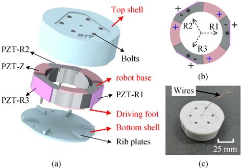 Figure 1 From Development Of A Planar Tripodal Piezoelectric Robot With