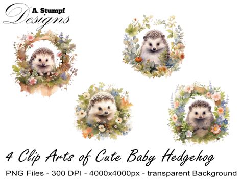 A Cute Baby Hedgehog Clip Art Bundle Graphic By Andreas Stumpf
