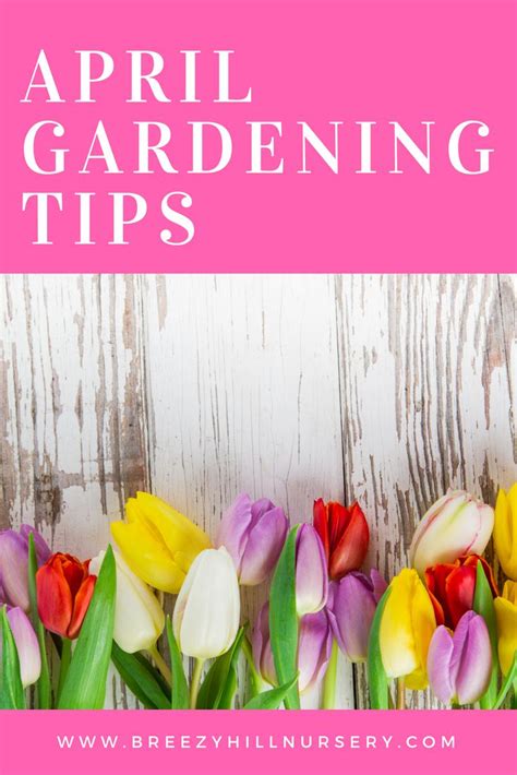 Pin On Gardening Tips