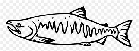Salmon Clipart Tiny Fish Pacific Salmon Black And White Png