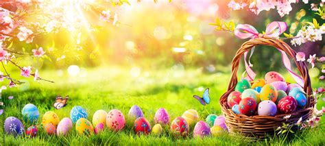 Easter Painted Eggs In Basket On Grass In Sunny Orchard Stock Photo