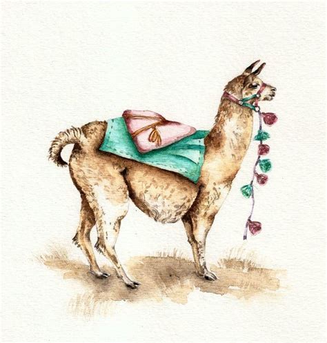 Watercolor Llama By Goosi Watercolor Art Prints Original Watercolor