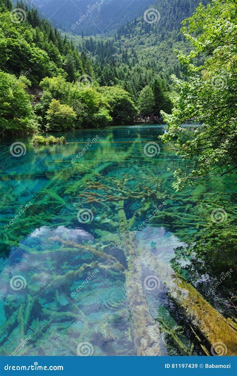 Jiuzhai Valley National Park Stock Image Image Of Beautiful Lake