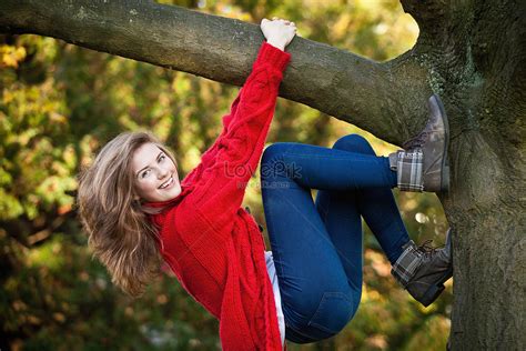 Girl Climbing Tree In Park Picture And Hd Photos Free Download On Lovepik
