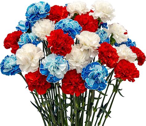 Red White And Blue Flower Wallpapers Top Free Red White And Blue