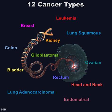 Different Cancers Can Share Genetic Signatures Nih Directors Blog