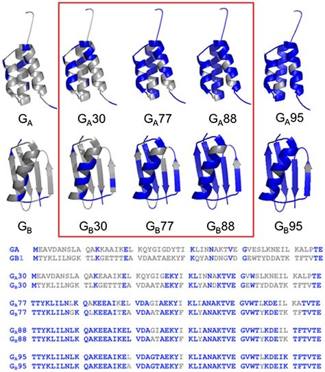 Folding Pathways Of Proteins With Increasing Degree Of Sequence