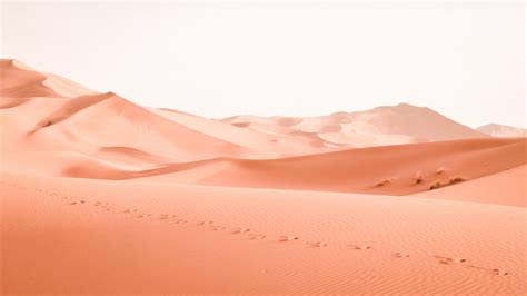 Free Images Landscape Sand Arid Desert Dune Orange Material