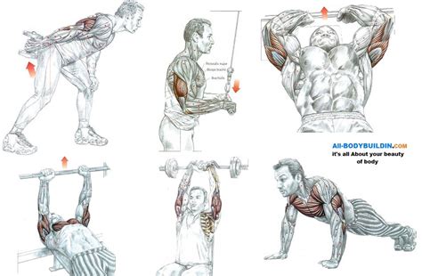 5 Great Exercises For Triceps Runoflif