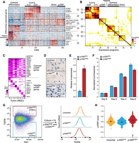 Single Cell Transcriptomic Analysis Of Primary And Metastatic Tumor Ecosystems In Head And Neck